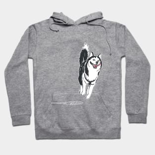 HuskyJumping Hoodie